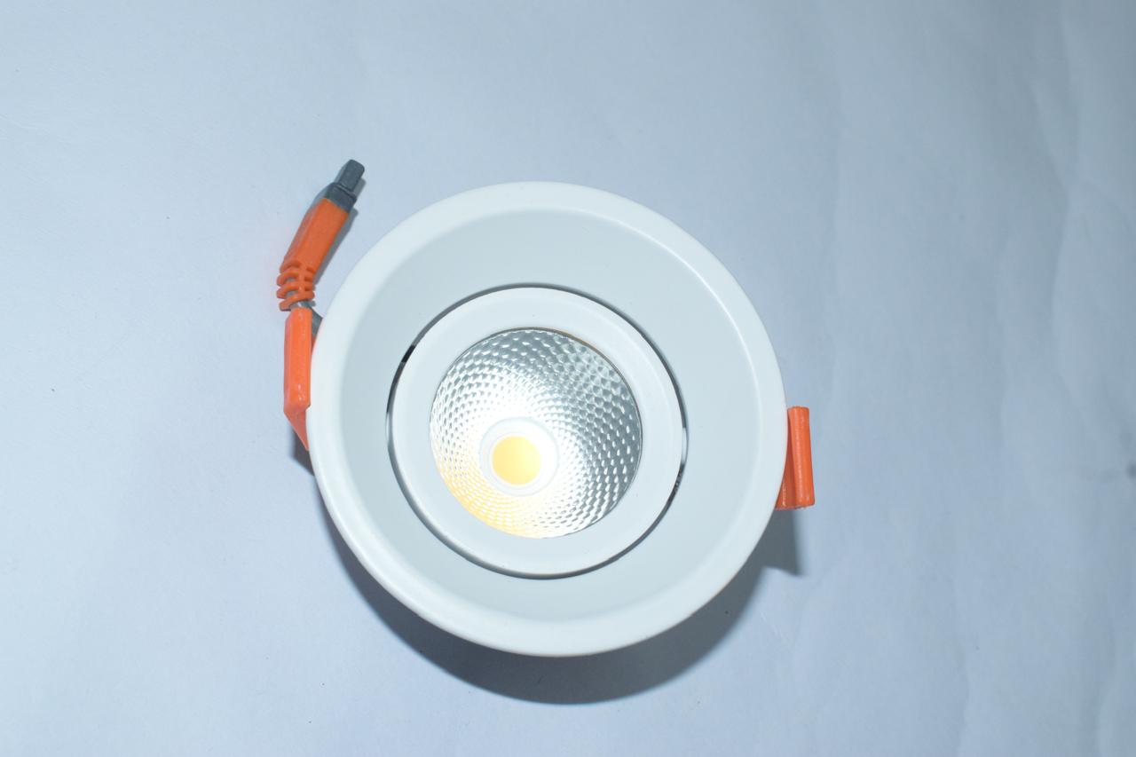 Indoor COB Light